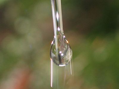 FLS Drop of Water falling from a piece of ice, photo released to public domain by its creator Jonas Bergsten