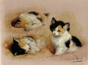 Cats Studies of an Awakening Kitten by Henriette Ronner-Knip, public domain