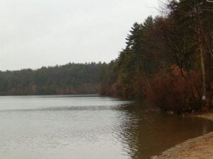 Walden Pond in the Spring, photo released by its author Shadow0704 to public domain